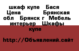 шкаф купе “ Бася“  › Цена ­ 5 400 - Брянская обл., Брянск г. Мебель, интерьер » Шкафы, купе   